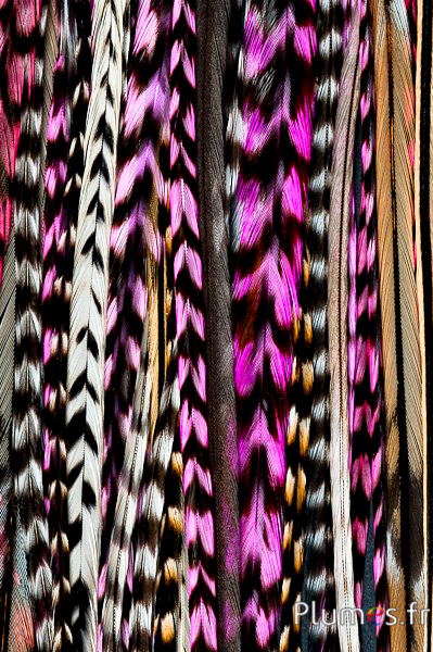Coq grizzly mèche de 3 plumes - 20-30 cm - fuchsia
